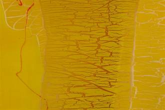 Deborah Bohnert - Red Line - 2004